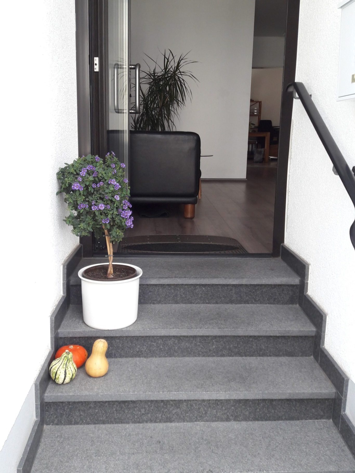 Eine Angewohnheit kann man nicht aus dem Fenster werfen. Man muss sie die Treppe herunter boxen, Stufe für Stufe. ( Mark Twain)